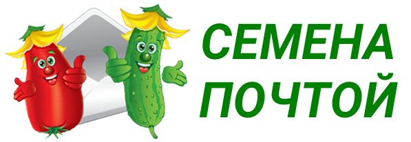 Семена